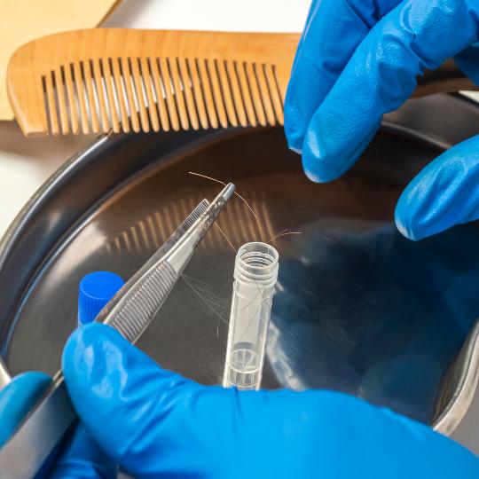 hair mineral analysis hair mineral analysis zurich