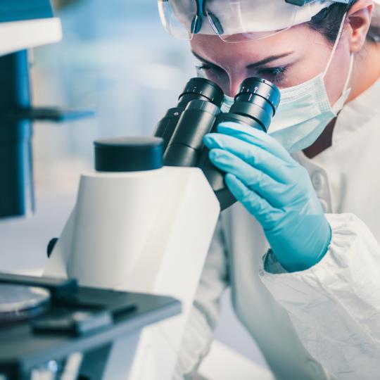 stools test stools test zurich