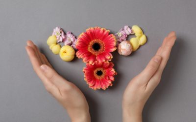 Mastering Menopause Through Macros: A Guide to Balanced Nutrition for Midlife Wellness