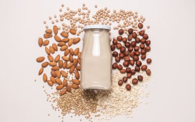 Plant-Based Milk Benefits: Is It Really Better for You Than Dairy Milk?