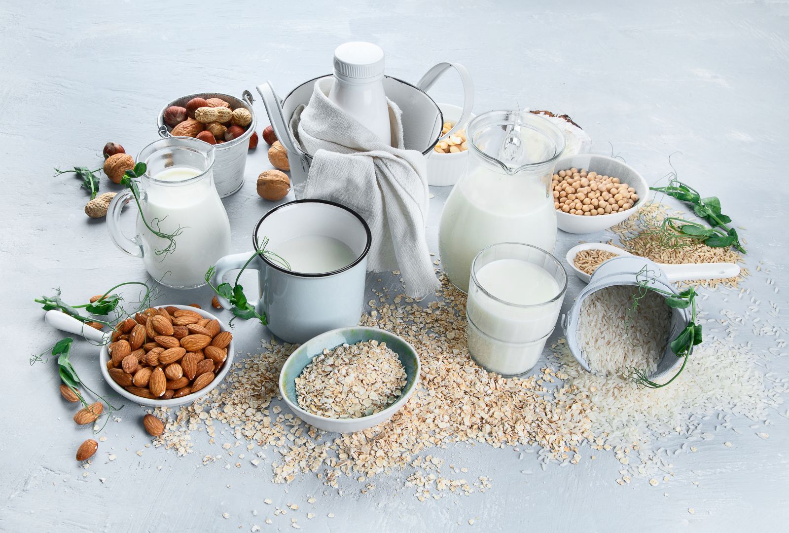 plant-based vs dairy milk
