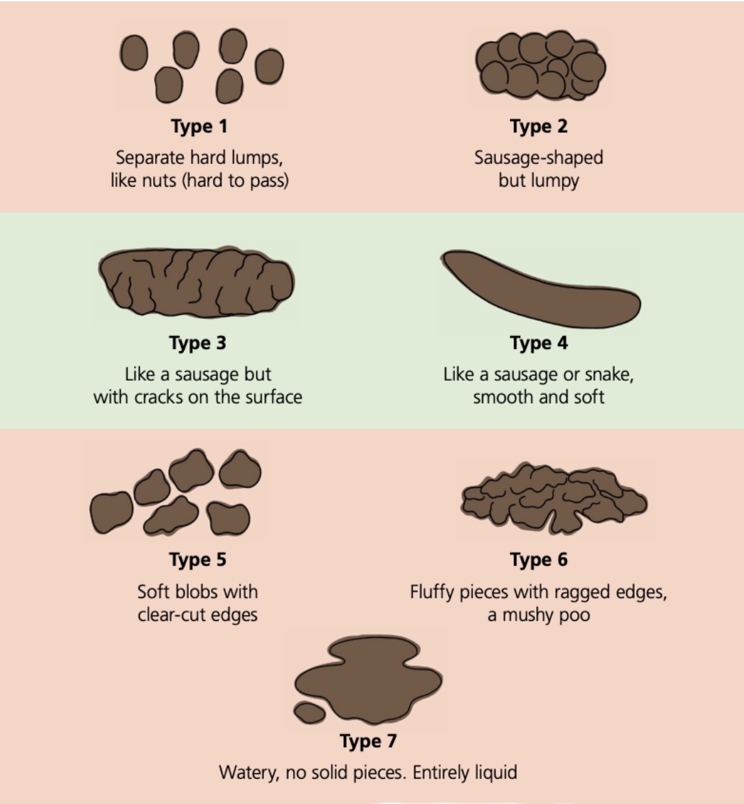 Bristol stool chart