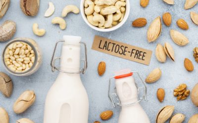 Lactose-Free 101: What It Really Means (and What You Can Still Enjoy)