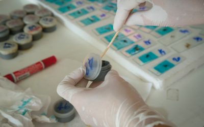 What Your Poop Reveals About Your Health: Gut, Hormones, and Longevity Explained